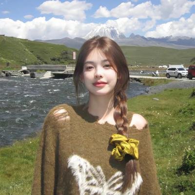 银之守墓人日语版